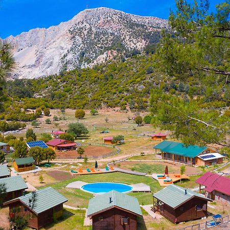 Hotel Babakamp Eco Ranch & Retreat Ölüdeniz Exterior foto